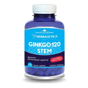 Ginkgo 120 Stem 120 cp Herbagetica
