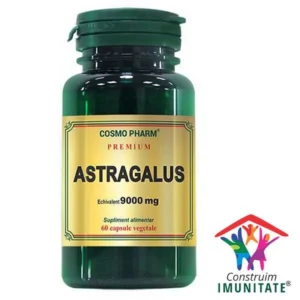 Premium Astragalus Extract 450 Mg echiv 9000mg 60 cp Cosmo Pharm