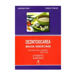 Carte Dezintoxicarea, magia vindecarii - Virginia Faur, Remus Tanase Favisan