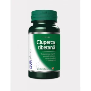 Ciuperca tibetana 60 cp DVR