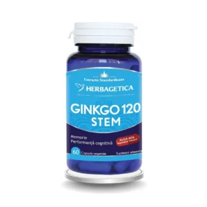 Ginkgo 120 Stem 60 cp Herbagetica