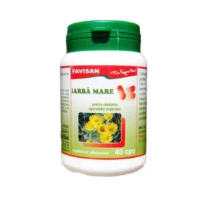 Iarba mare 40cp Favisan
