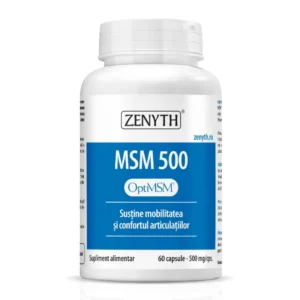 MSM 500, 60 cp x 500 mg Zenyth