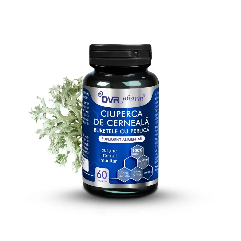Ciuperca de cerneala 60 cp DVR