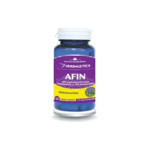 Afin 60 cp Herbagetica