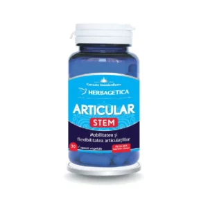 Articular Stem 30 cp Herbagetica